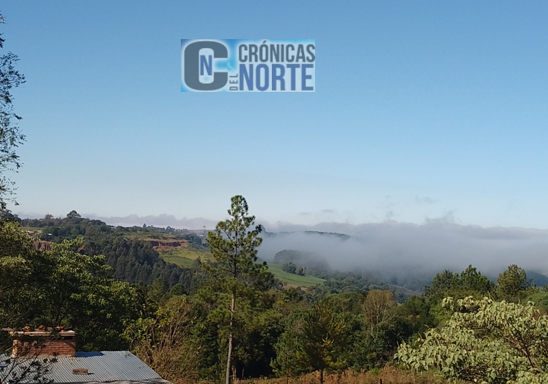 Imagen Noticia