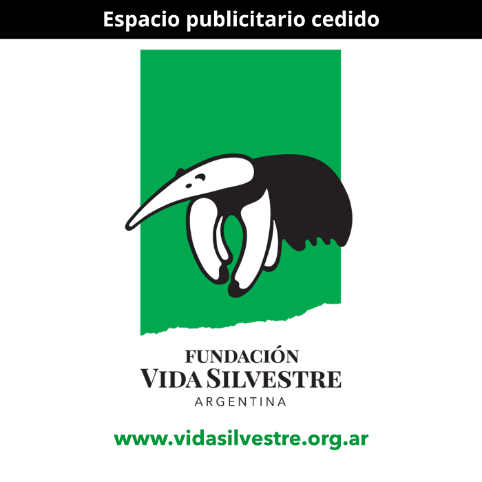 Publicidad